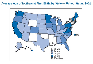 Illustration for article titled The United States Of IVF